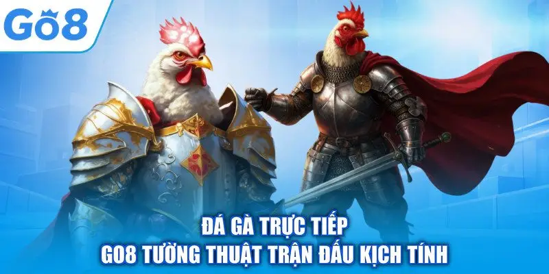 Đá Gà Trực Tiếp – GO8 Tường Thuật Trận Đấu Kịch Tính